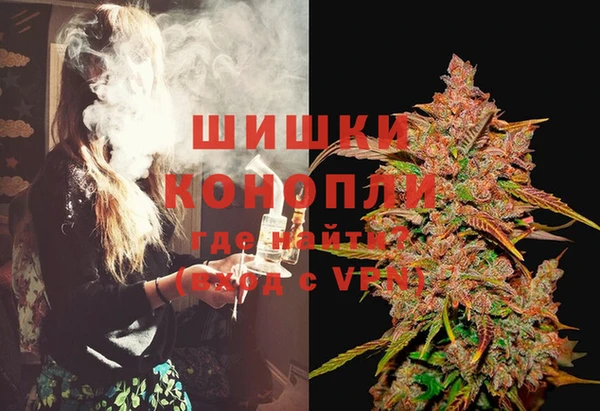 ГАЛЛЮЦИНОГЕННЫЕ ГРИБЫ Вяземский