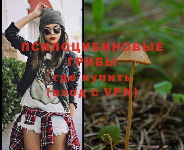 первитин Весьегонск