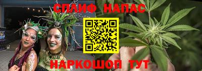 спиды Бийск