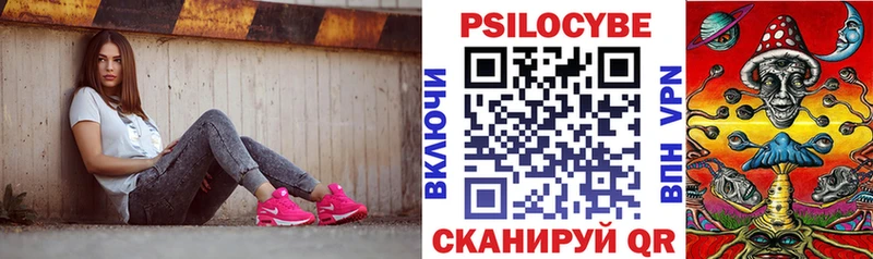 KRAKEN как зайти  Выборг  Галлюциногенные грибы Psilocybine cubensis 