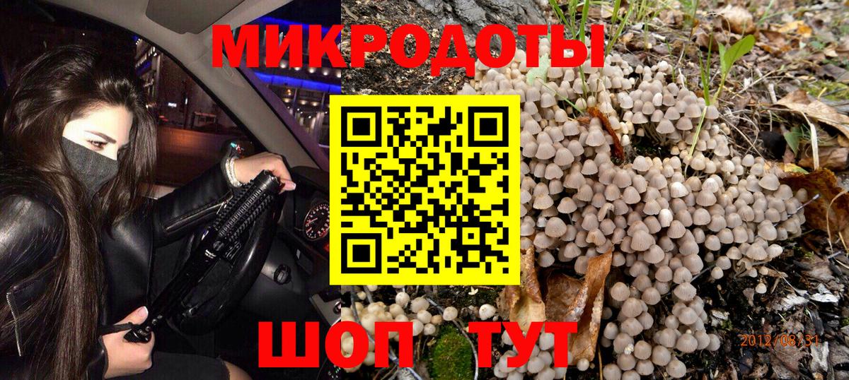 Галлюциногенные грибы Magic Shrooms Выборг